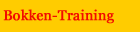 Bokken-Training