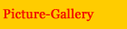Picture-Gallery